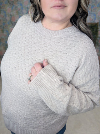 Meadow Textured Spring Sweater in Solids (5 Colors)-2- Long Sleeve Tops-MICHELLE MAE-Styled by Stacked - A Plus Size Women's Boutique in Lakeville, MN