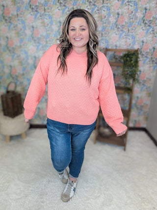 Meadow Textured Spring Sweater in Solids (5 Colors)-2- Long Sleeve Tops-MICHELLE MAE-Styled by Stacked - A Plus Size Women's Boutique in Lakeville, MN