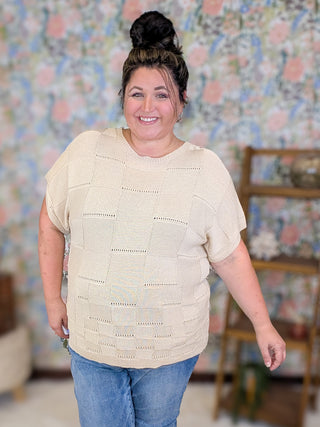 Barrett Textured Knit Short Sleeve Sweater in Beige