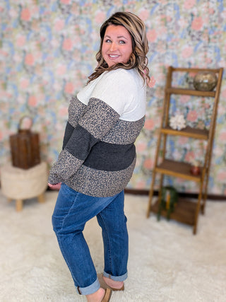 Desiree Gray + Leopard Vneck Long Sleeve Top