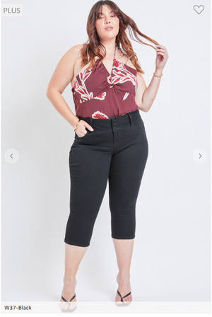SALE- Liann 3 Button High Rise Capri (3 washes)