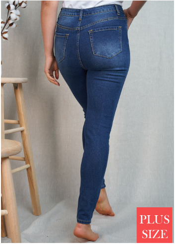 Bridget Buttonfly WB Skinny Jeans