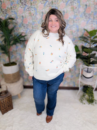 Georgina Mini Floral Embroidered Sweater in Ivory-2- Long Sleeve Tops-LOVELY MELODY-Styled by Stacked - A Plus Size Women's Boutique in Lakeville, MN
