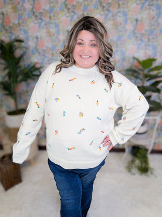 Georgina Mini Floral Embroidered Sweater in Ivory-2- Long Sleeve Tops-LOVELY MELODY-Styled by Stacked - A Plus Size Women's Boutique in Lakeville, MN