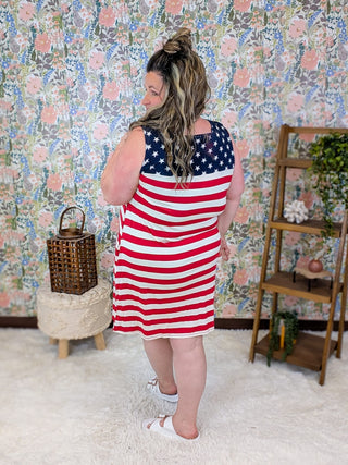 11- Dress/Romp/Jump Martha Sleeveless Dress in Americana Vibes plus size clothing