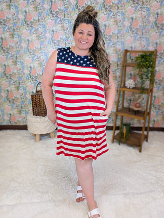 11- Dress/Romp/Jump Martha Sleeveless Dress in Americana Vibes plus size clothing