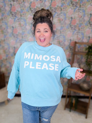 6- Graphic Tops Mimosa Please Pullover in Aqua plus size clothing