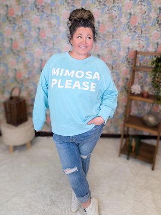 6- Graphic Tops Mimosa Please Pullover in Aqua plus size clothing