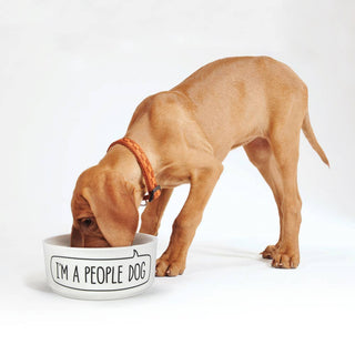 ***Mug + Dog Bowl - Dog Person-12- Accessories & Gifts-Fred & Friends-Styled by Stacked - A Plus Size Women's Boutique in Lakeville, MN