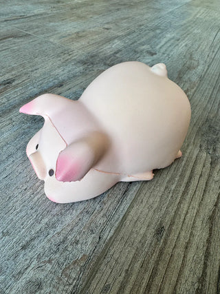 Slow Rise Squishies plus size clothing