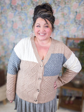 Aianna Colorblock Button Front Cardigan Sweater in Neutrals-4- Overlayer Tops-MICHELLE MAE-Styled by Stacked - A Plus Size Women's Boutique in Lakeville, MN