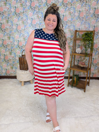 Martha Sleeveless Dress in Americana Vibes