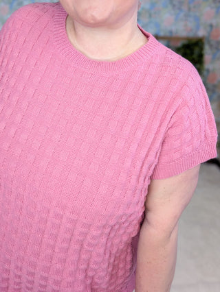 1- ShortSlv/Slvless Tops Tasha Short Sleeve Textured Spring Sweater plus size clothing