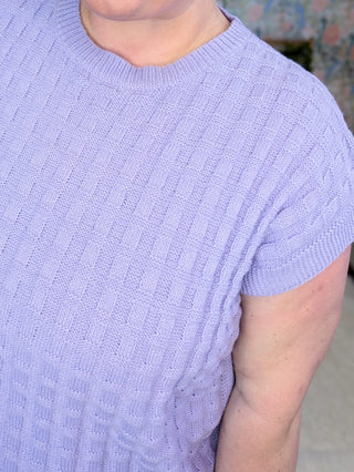 1- ShortSlv/Slvless Tops Tasha Short Sleeve Textured Spring Sweater plus size clothing