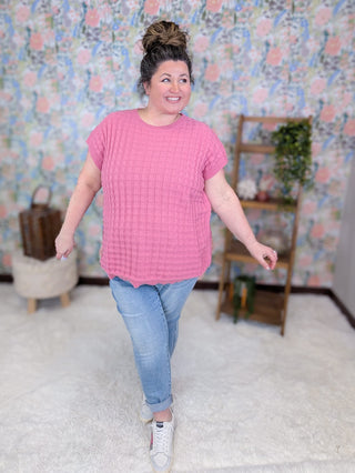 1- ShortSlv/Slvless Tops Tasha Short Sleeve Textured Spring Sweater plus size clothing