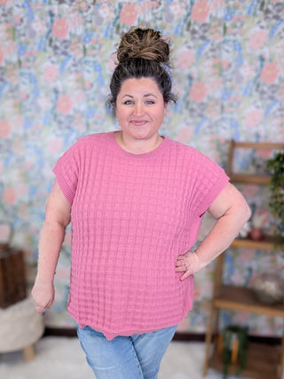 1- ShortSlv/Slvless Tops Tasha Short Sleeve Textured Spring Sweater plus size clothing