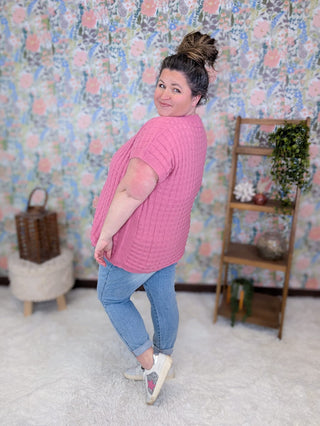 1- ShortSlv/Slvless Tops Tasha Short Sleeve Textured Spring Sweater plus size clothing